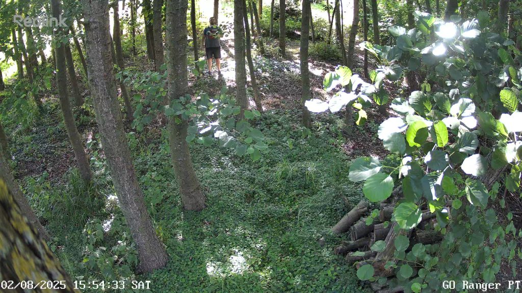 go ranger pt 0 live 1754142875727