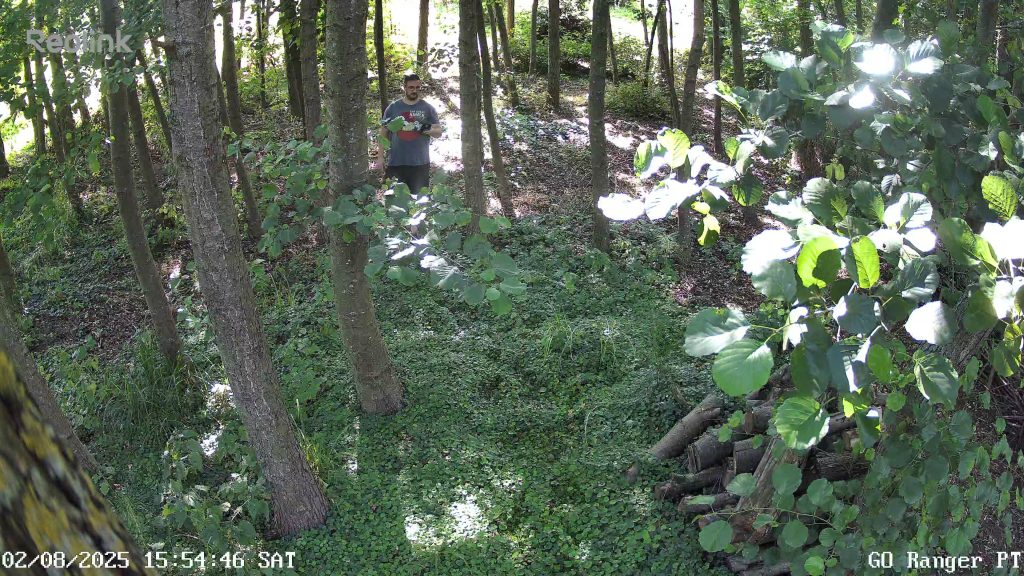 go ranger pt 0 live 1754142889149