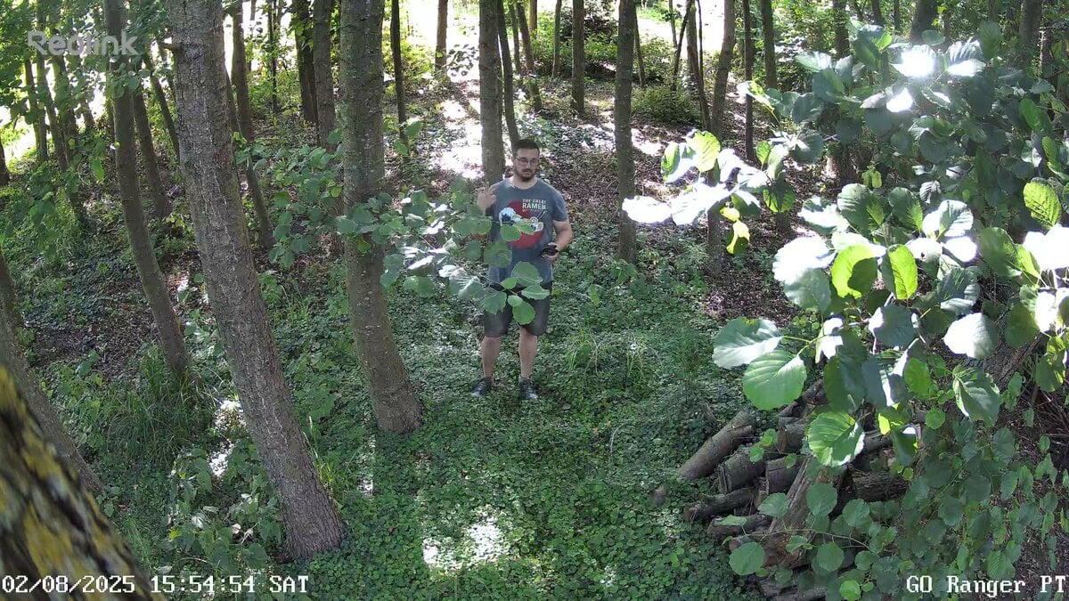 go ranger pt 0 live 1754142897458