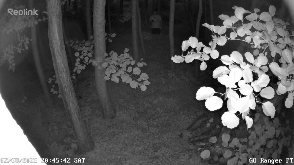 go ranger pt 0 live 1754160345753